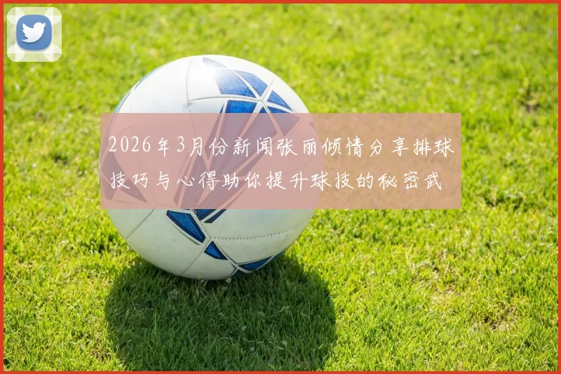 2026年3月份新闻张丽倾情分享排球技巧与心得助你提升球技的秘密武器