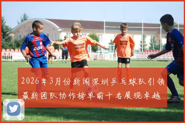 2026年3月份新闻深圳乒乓球队引领最新团队协作榜单前十名展现卓越实力与默契配合